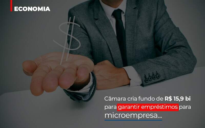 Câmara Cria Fundo De R$ 15,9 Bi Para Garantir Empréstimos Para Microempresa